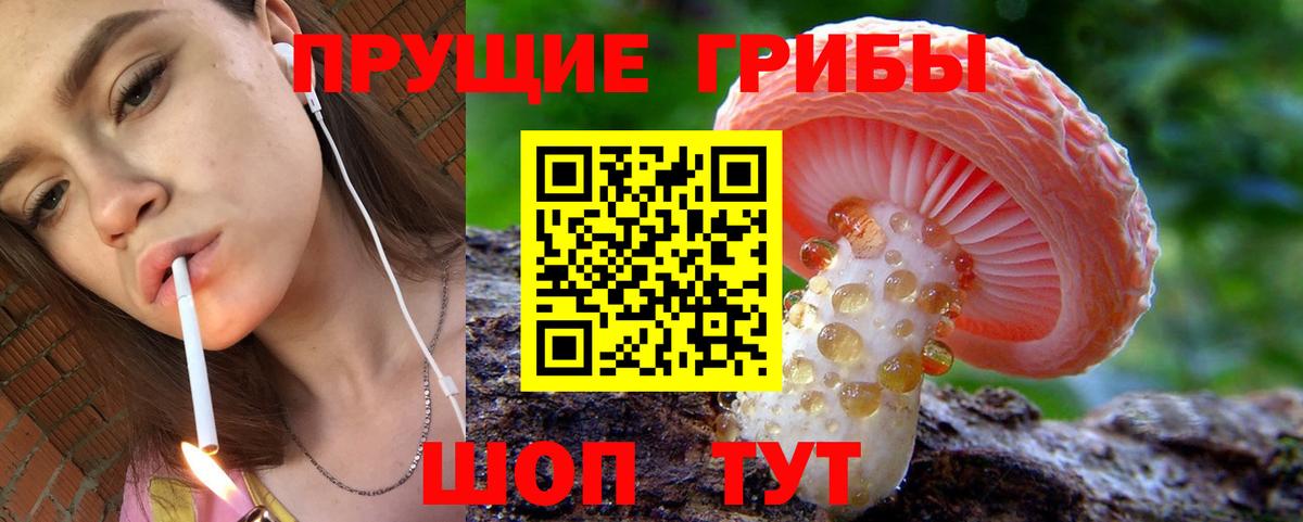 Галлюциногенные грибы MAGIC MUSHROOMS  закладка  Вход с VPN  Нижнекамск  Псилоцибиновые грибы мицелий 